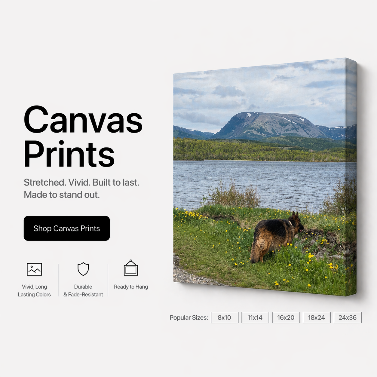 Custom Stretched Canvas Prints